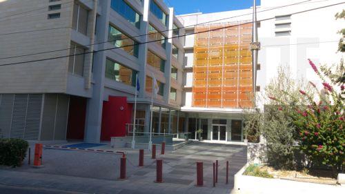 Ελεγκτική υπηρεσία