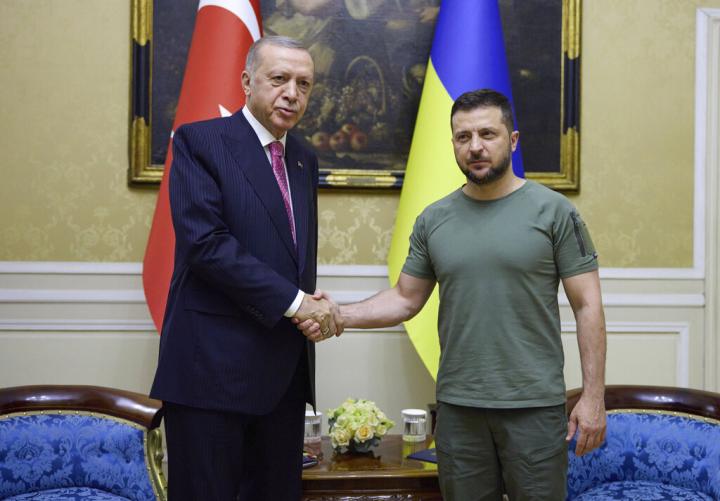 1688650515544_zelenski-erdogan